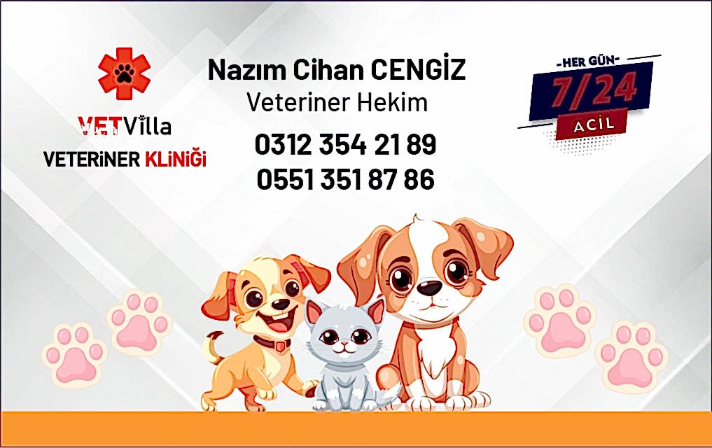 Ankara Matbaa, Matbaa Ankara, Ankara'da Matbaa